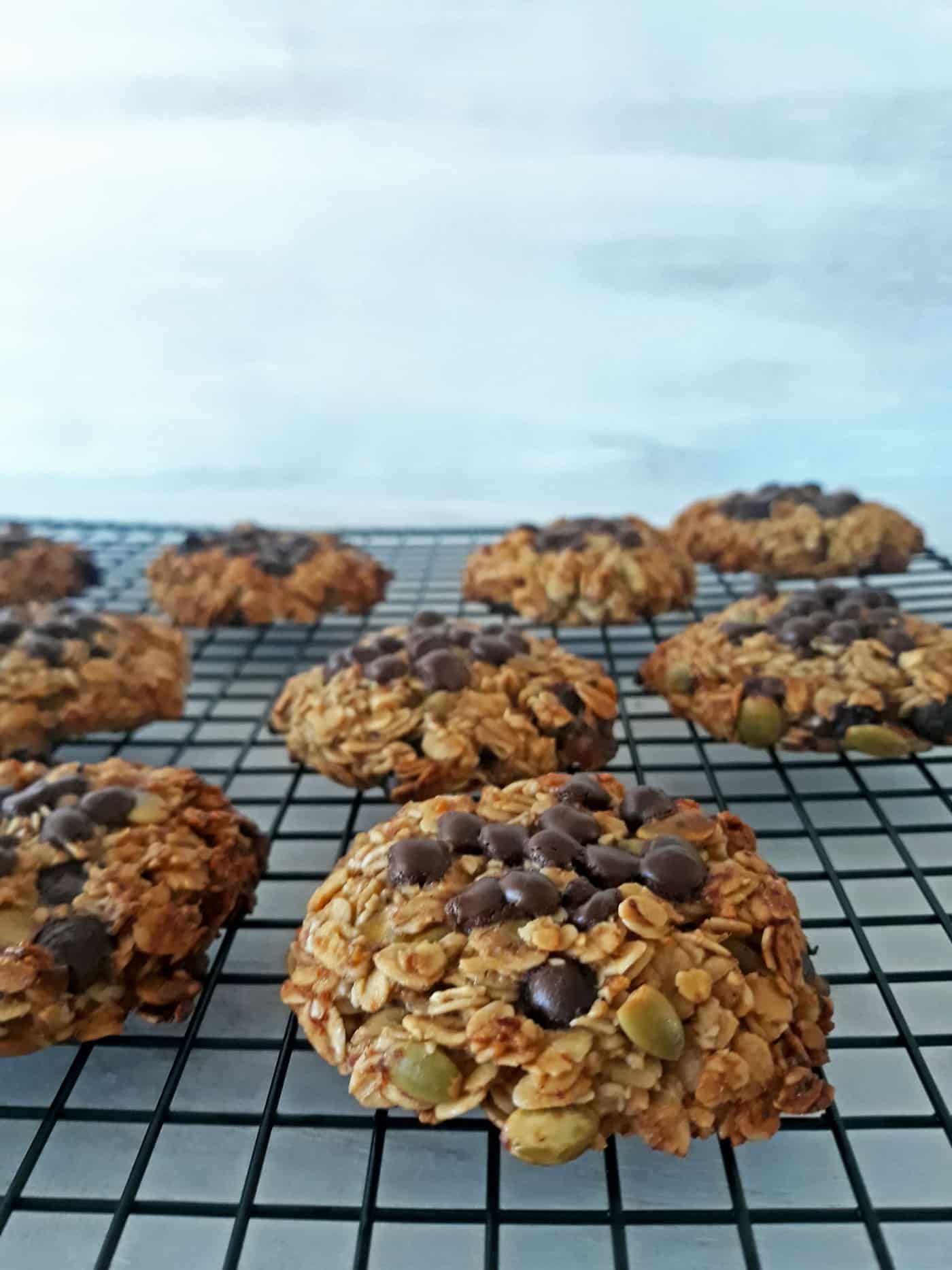 galletas de avena sobre una parrilla después de salir del horno.