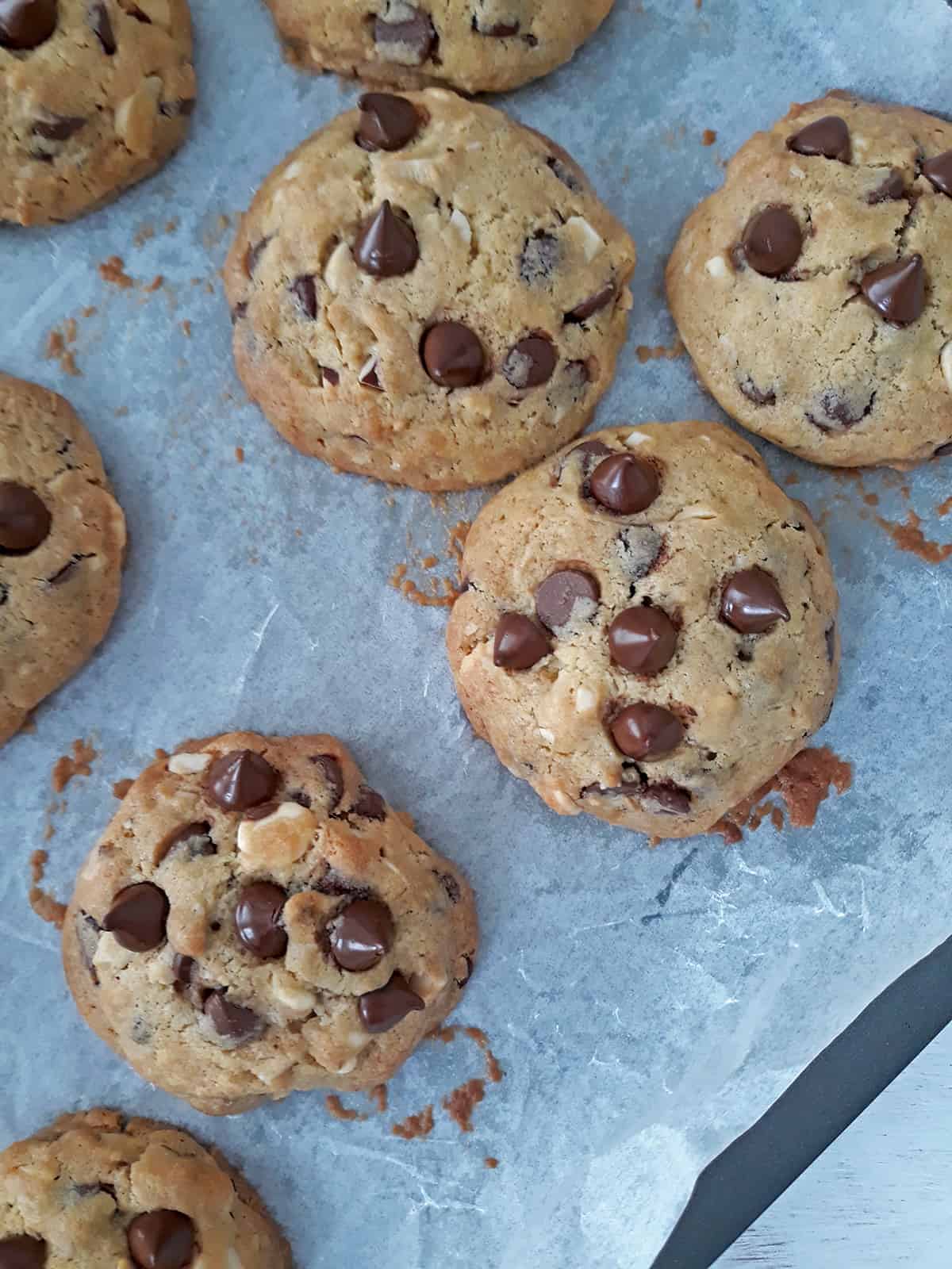 galletas con chispas de chocolate recién salidas del horno