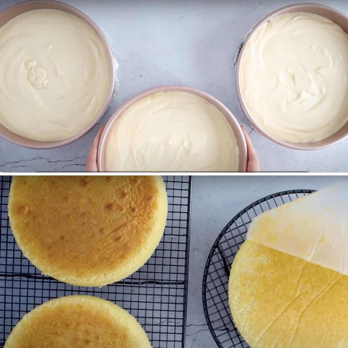 Receta de torta casera esponjosa y suave paso a paso.