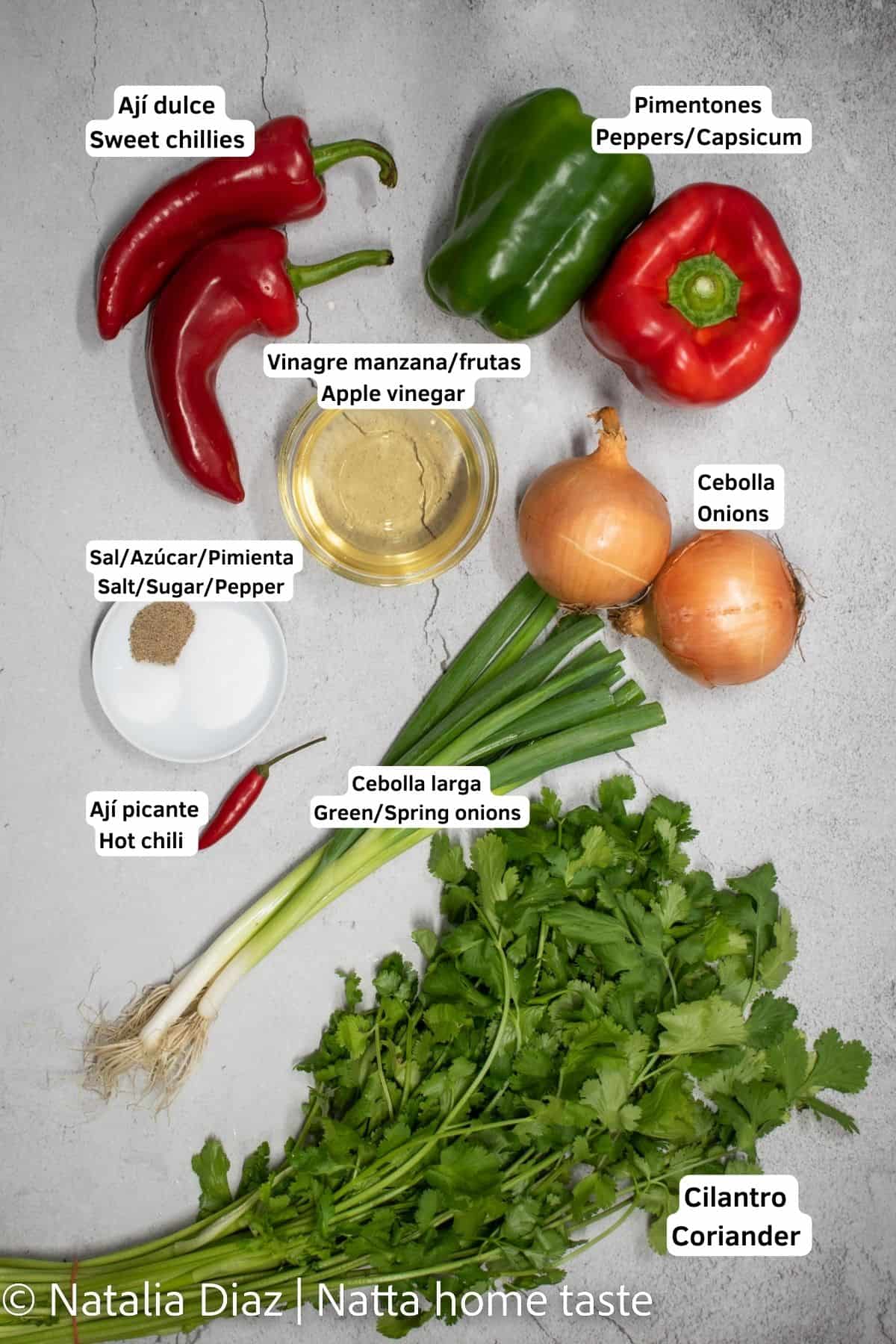 ingredientes frescos para preparar ají colombiano. Ajíes, cebollas, vinagre, cilantro, sal, pimienta, azúcar 