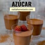 mousse de chocolate sin azúcar en vasitos transparente sobre una mesa gris con frambuesas encima